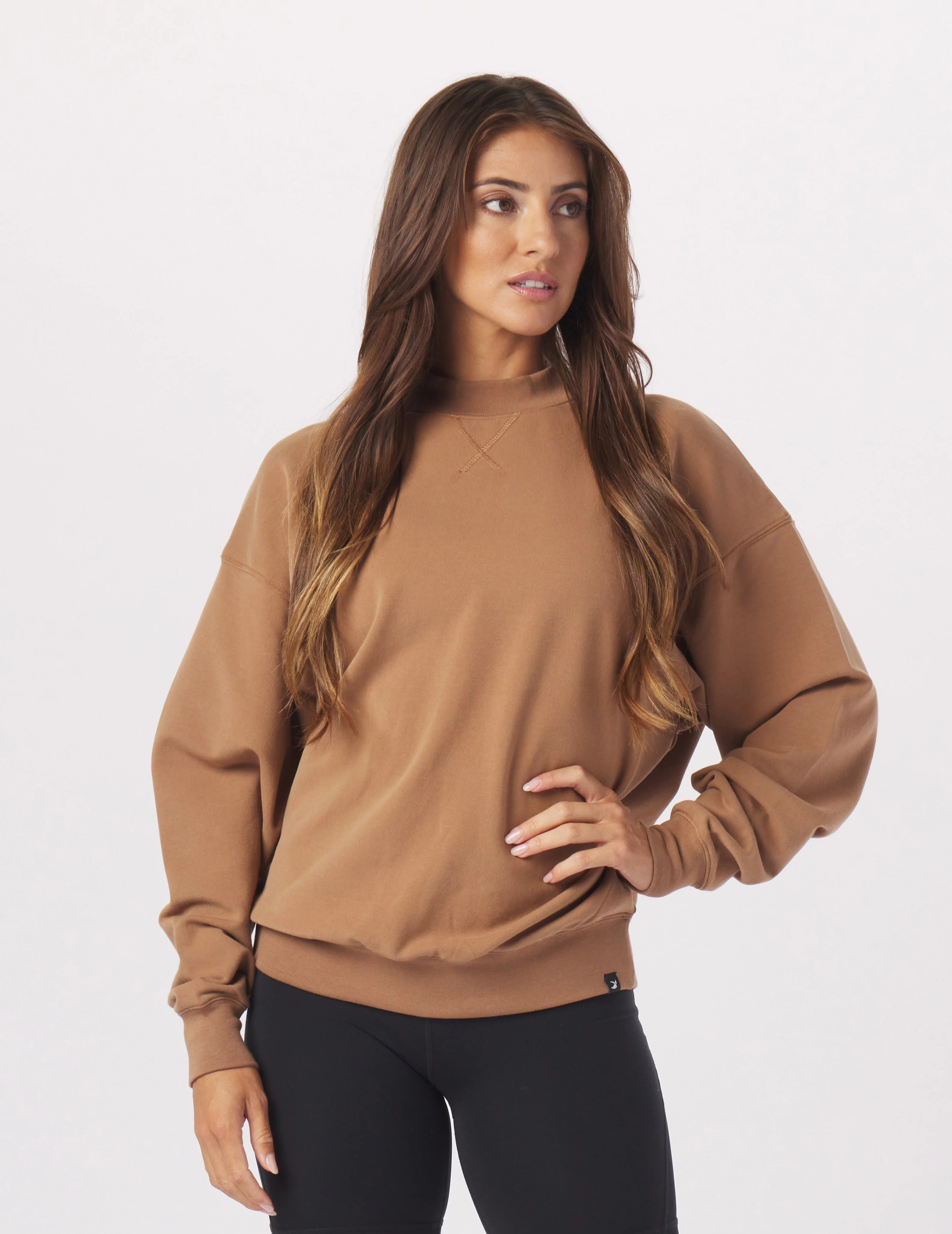 Wardrobe Refresh Vintage Oversized Crew: Almond